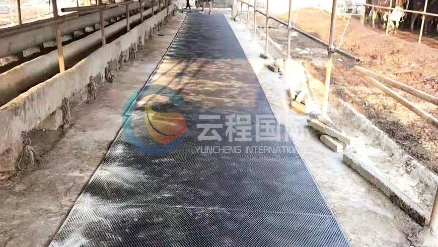 案例